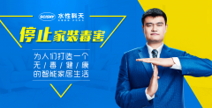 地消费者大美建家