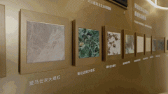 拿下普陀区桃浦科技聪慧